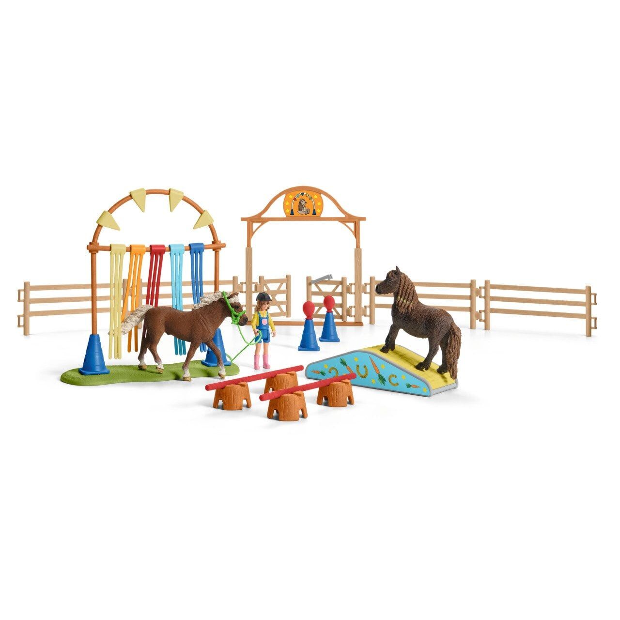 Pony Eğitimi (42481)