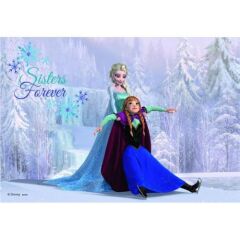 Ravensburger 2x24 Parçalı Puzzle Walt Disney Frozen-091157 (091157)