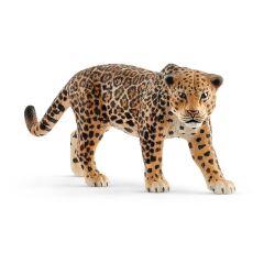 Jaguar (14769)