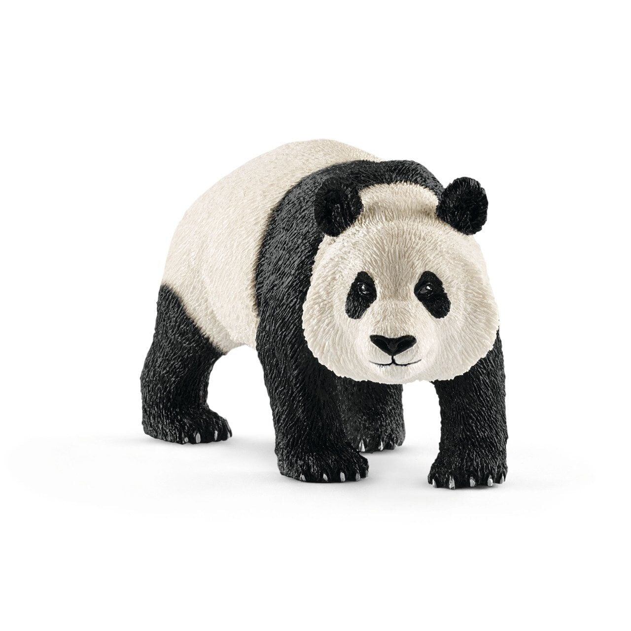 Erkek Panda (14772)