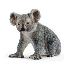 Koala (14815)