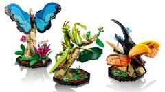 21342 LEGO® Ideas Böcek Koleksiyonu