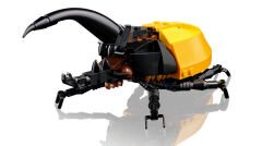 21342 LEGO® Ideas Böcek Koleksiyonu