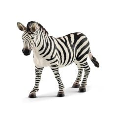 Dişi Zebra (14810)