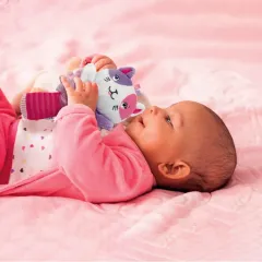 17784 Baby Clementoni - Sevimli Kedi Çıngırak 0+ ay