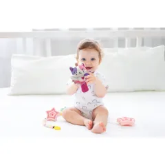 17784 Baby Clementoni - Sevimli Kedi Çıngırak 0+ ay