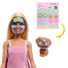 Barbie Güzellik Salonu Oyun Seti- HYV31