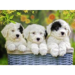 Ravensburger 200 Parçalı Puzzle Puppies-127658 (127658)