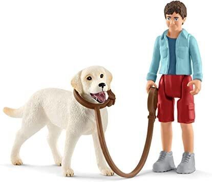 Labrador ile Yürüyüş (42478)