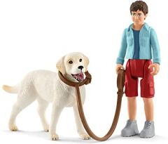 Labrador ile Yürüyüş (42478)