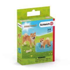 Shiba Inu (42479)