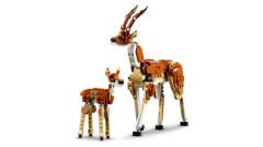 31150 LEGO® Creator Vahşi Safari Hayvanları