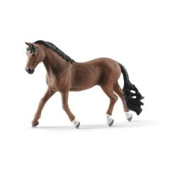 Trakehner Beygir (13909)