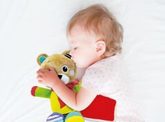 17761 Baby Clementoni - Yumuşacık Ayıcık 0+ ay