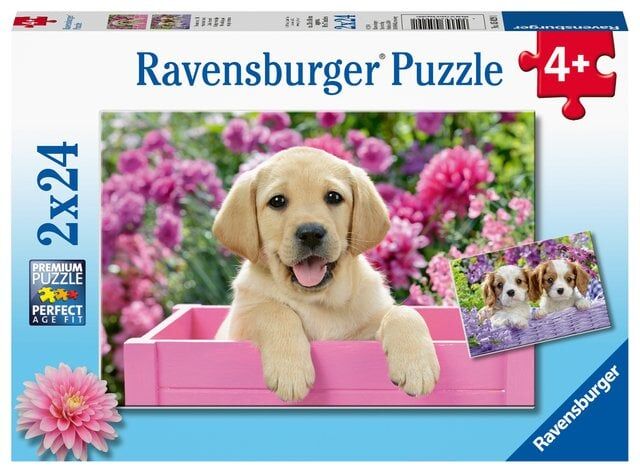 Ravensburger 2x24 Parçalı Puzzle Friends (050291)