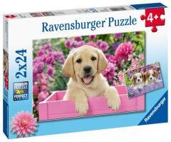 Ravensburger 2x24 Parçalı Puzzle Friends (050291)