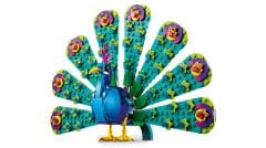 31157 LEGO® Creator Egzotik Tavus Kuşu