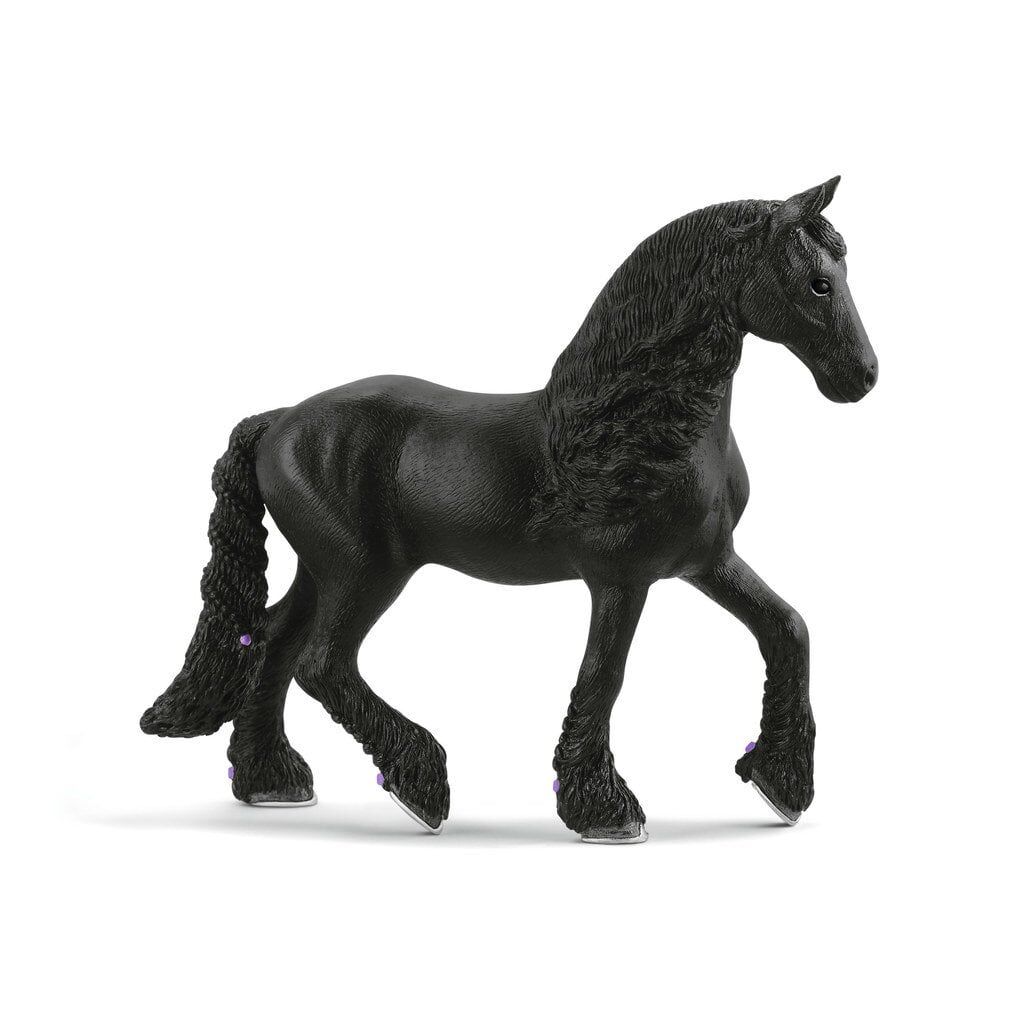 Frisian Kısrağı (13906)