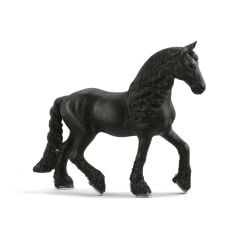 Frisian Kısrağı (13906)