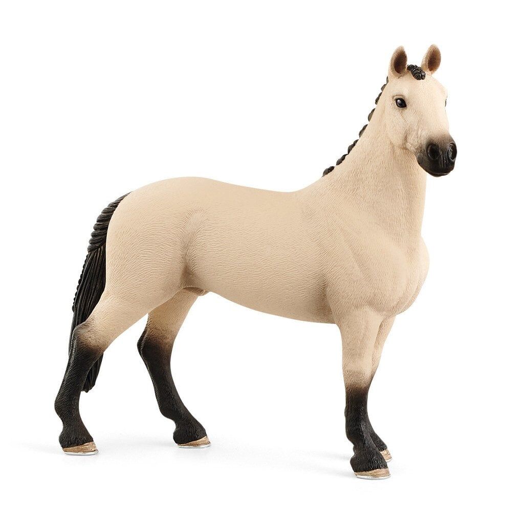 Hanover Beygiri (13928)