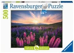 500 Parça Puzzle Acı Bakla Çiçekleri (174928)