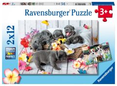 2x12 Parça Puzzle Yavru Köpekler (056361)