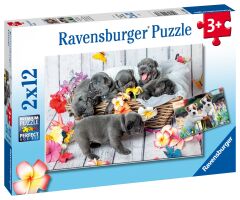 2x12 Parça Puzzle Yavru Köpekler (056361)