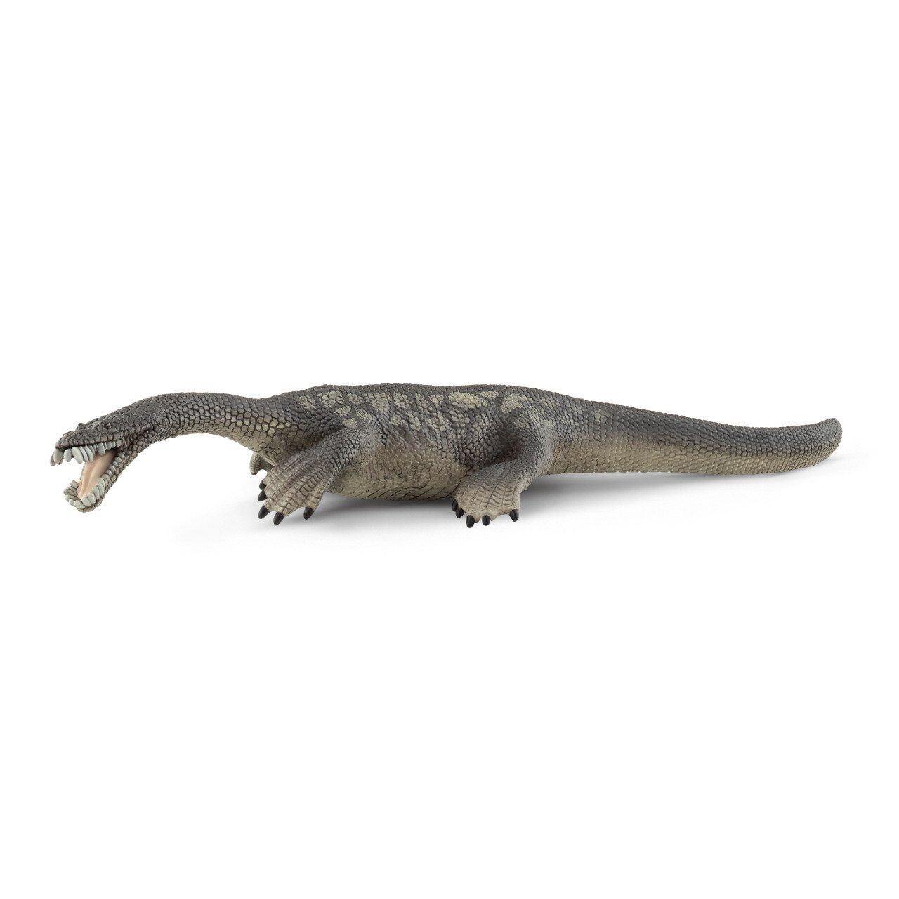 Notozorus (15031)