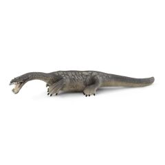 Notozorus (15031)