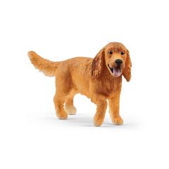 İngiliz Cocker Köpek (13896)