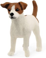 Jack Russell Teriyer (13916)