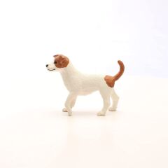 Jack Russell Teriyer (13916)