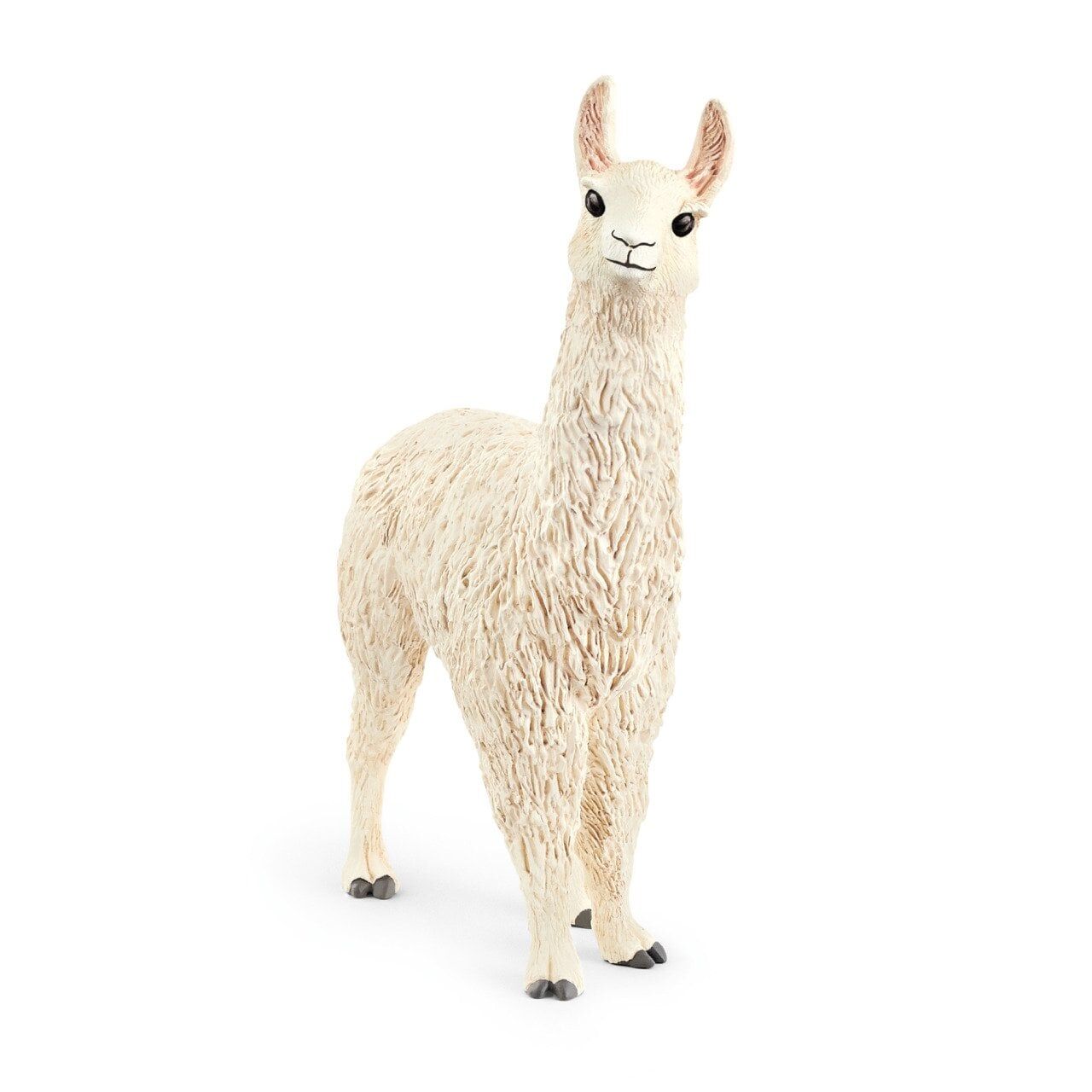 Lama (13920)