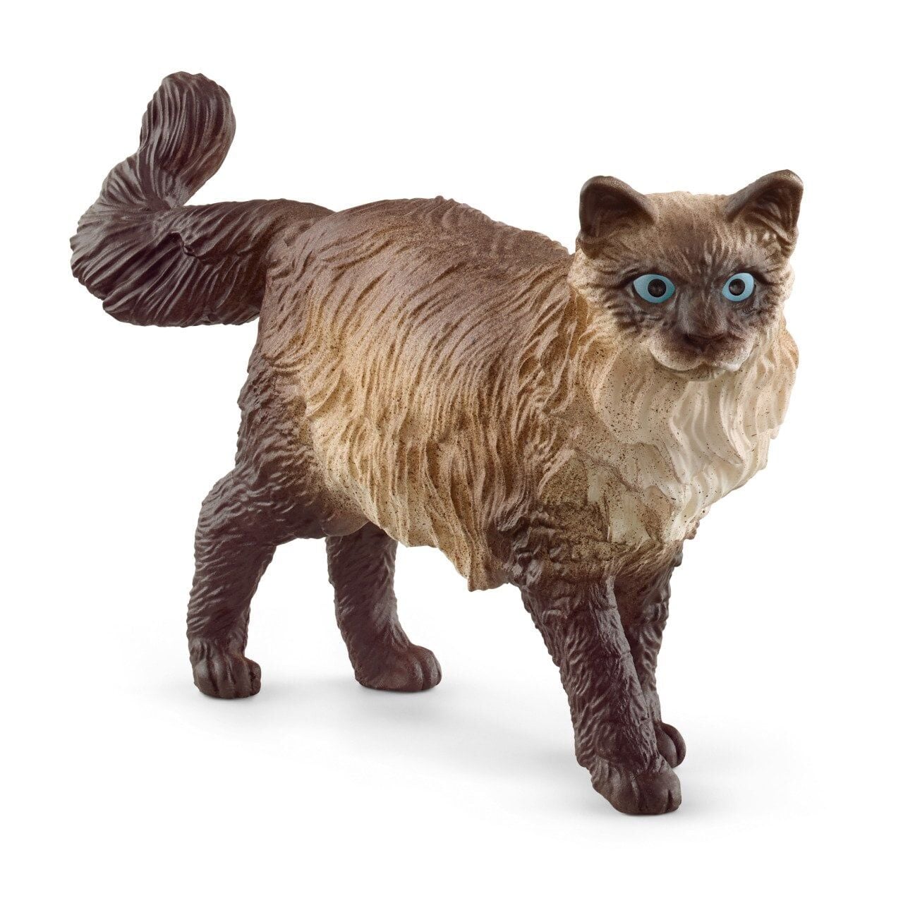 Ragdoll Kedi (13940)