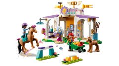 41746 LEGO® Friends At Eğitimi