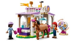 41746 LEGO® Friends At Eğitimi