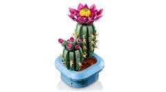 11509 LEGO® Botanicals Çiçekli Kaktüs