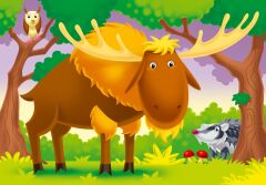 Ravensburger 6/8/10/12 Parça Puzzle Yaşadığım Yer (30583)