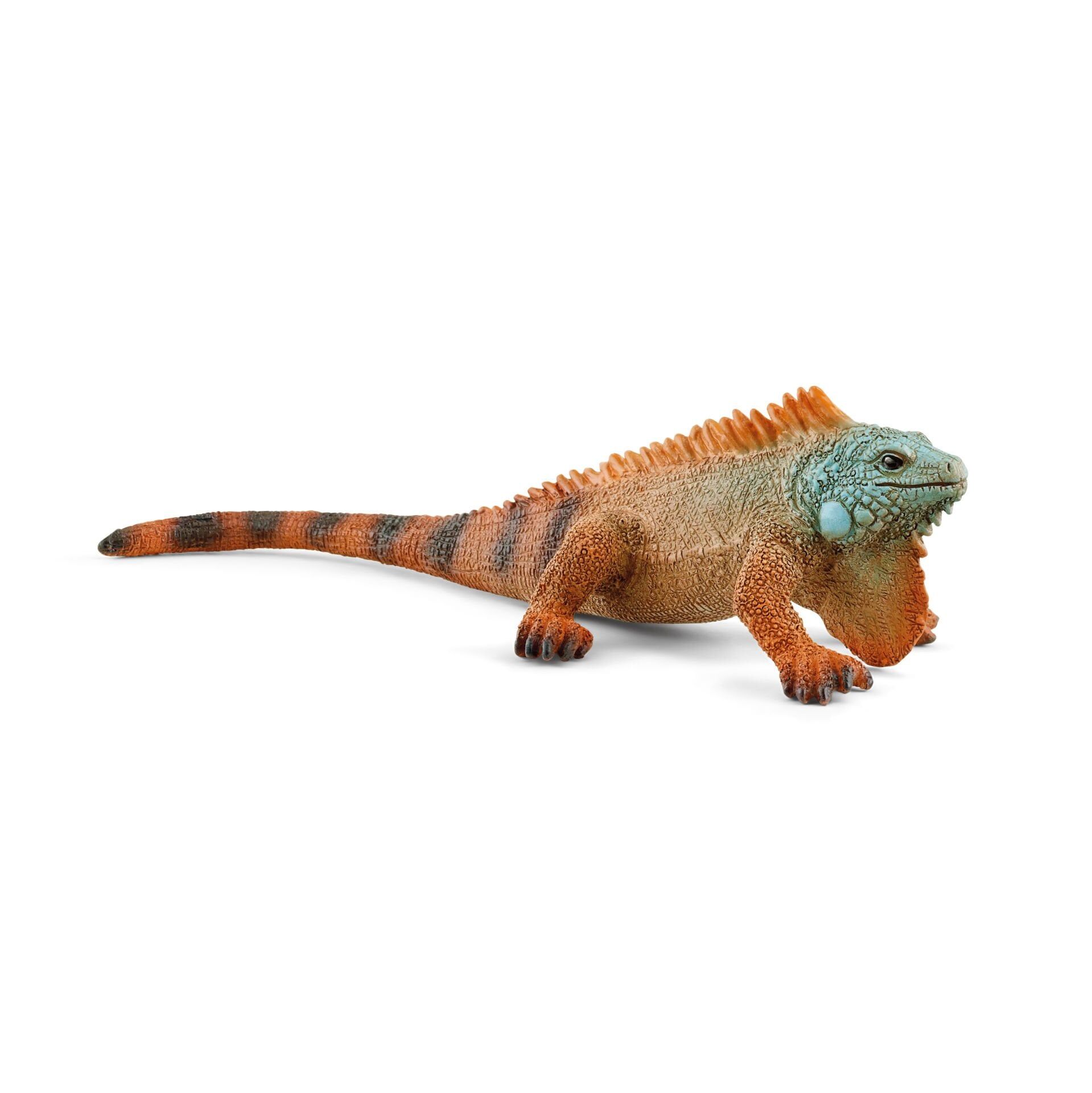 İguana (14854)