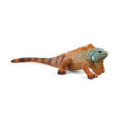 İguana (14854)