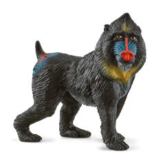 Mandril (14856)