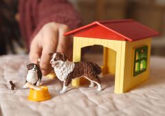 Köpek Evi (42573)