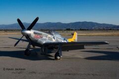 Revell Mustang-3944 (03944)