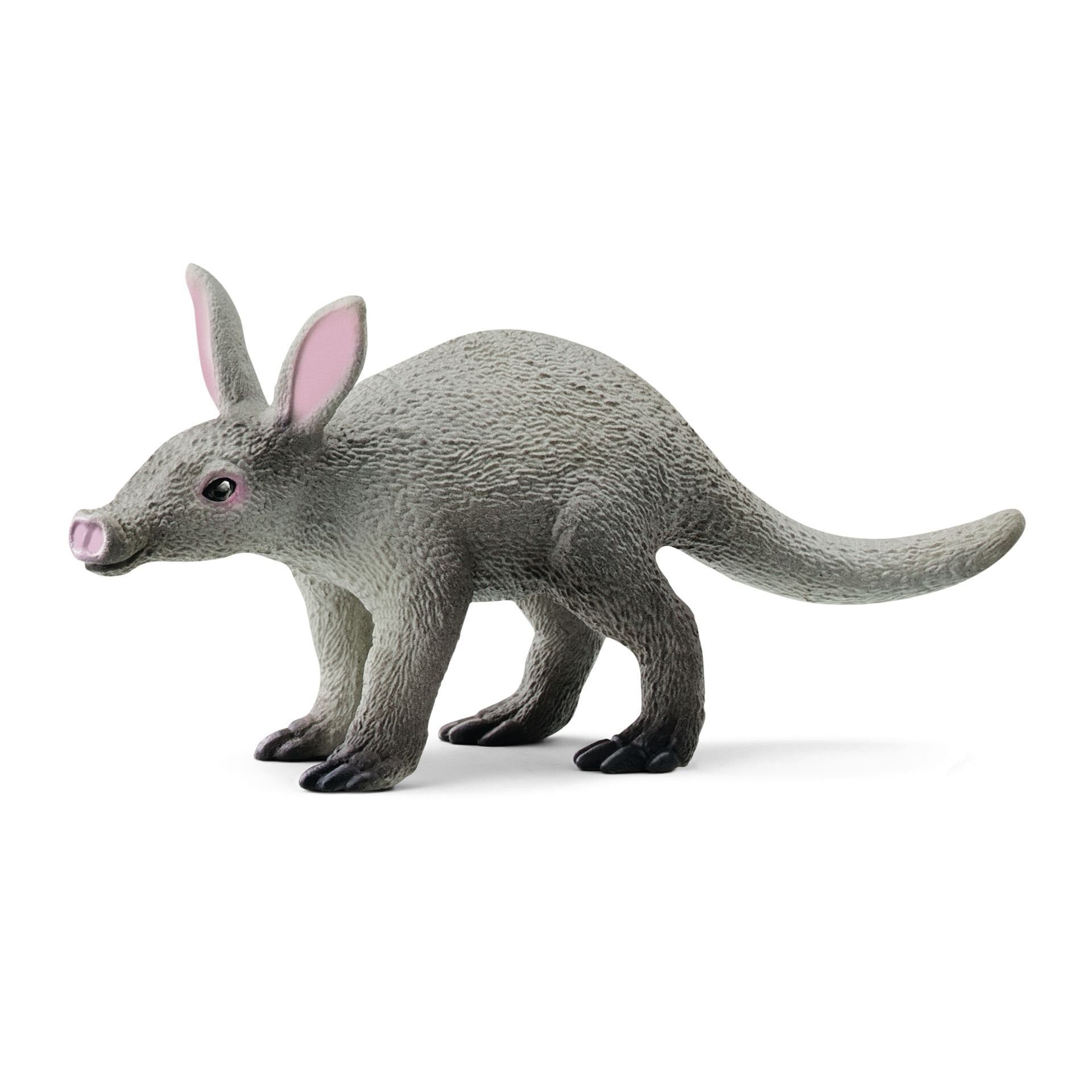 Aardvark (14863)