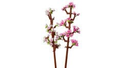 40725 LEGO® Iconic Kiraz Çiçekleri