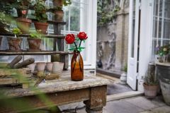 40460 LEGO® Iconic Gül