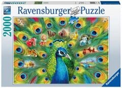 2000 Parça Puzzle Tavuskuşu (165674)
