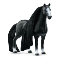 Q Horse Kısrak Güzellik Seti (42620)