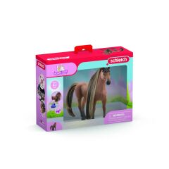 Akal Teke Aygır Güzellik Seti (42621)