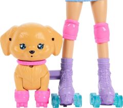 Barbie Paten Eğlencesi ve Sevimli Köpek Oyun Seti-Kahverengi Saçlı-  JMJ45